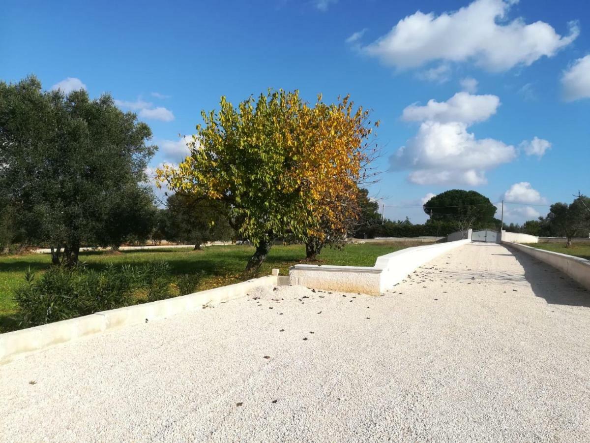 Villa Degli Ulivi เชจลีเมสซาปิกา ภายนอก รูปภาพ